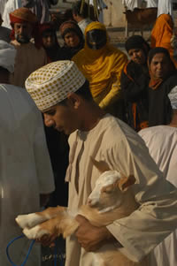 Omani boy selling a goat