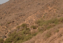 Wadi Hinna in Southern Oman